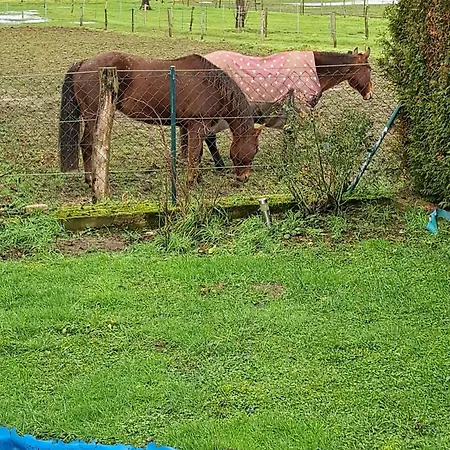 بيت للعطل Feldharmonie *