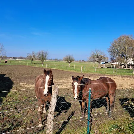 Feldharmonie * Heinsberg (North Rhine-Westphalia)