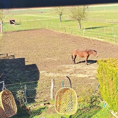 Feldharmonie Hébergement de vacances